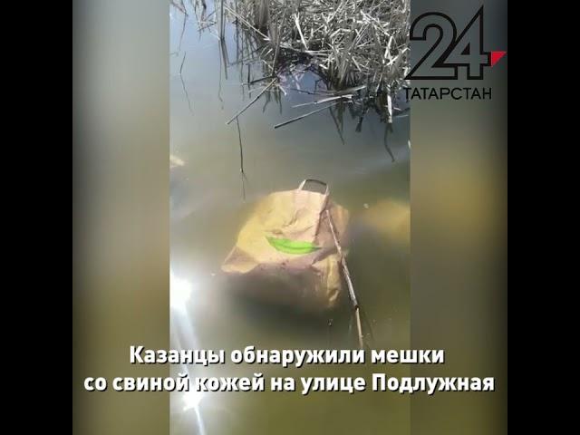 Мешки со свиной кожей разбросаны по центру Казани