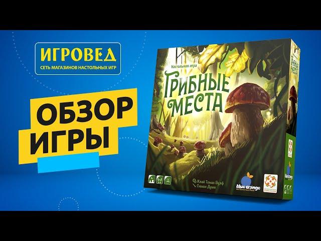 Грибные места. Обзор настольной игры от Игроведа