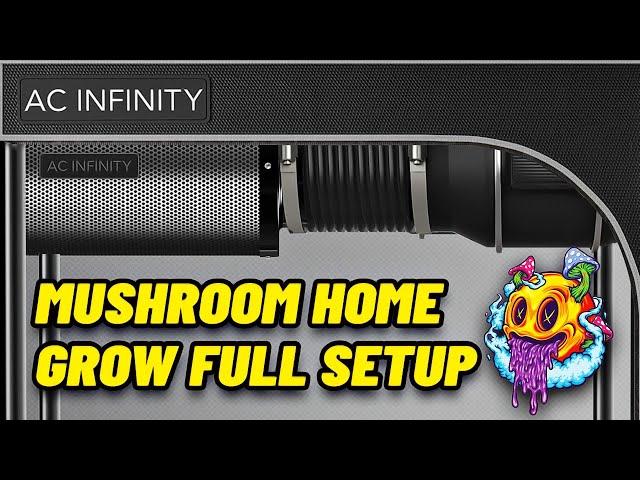 Mushroom Home Grow Full Setup (Flowhood, Incubation Tent, & Fruiting Chamber)