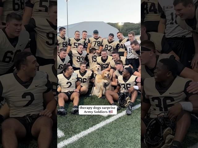 Therapy dogs surprise Army Soldiers