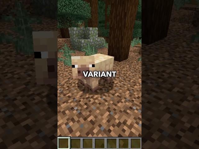 EVERYTHING ADDED TO MINECRAFT IN 2025 SO FAR!