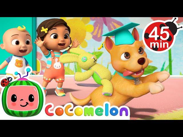 Best of BINGO! | Doggie Daycare & Puppy Play  + MORE CoComelon Nursery Rhymes & Songs