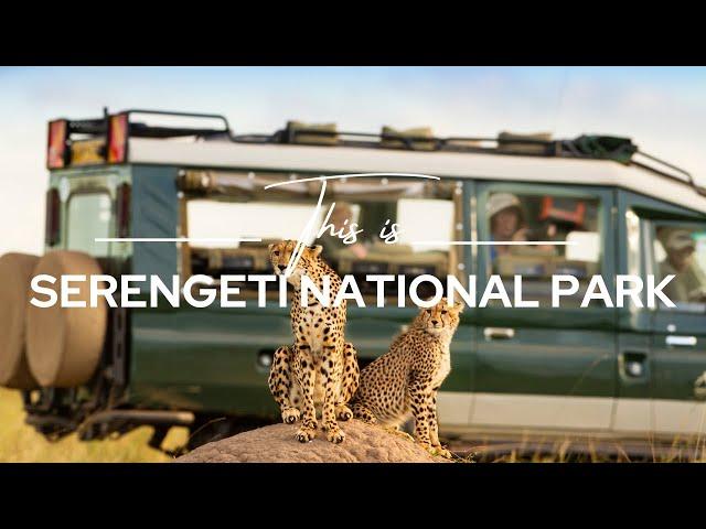 Serengeti National Park, Tanzania | Safari365