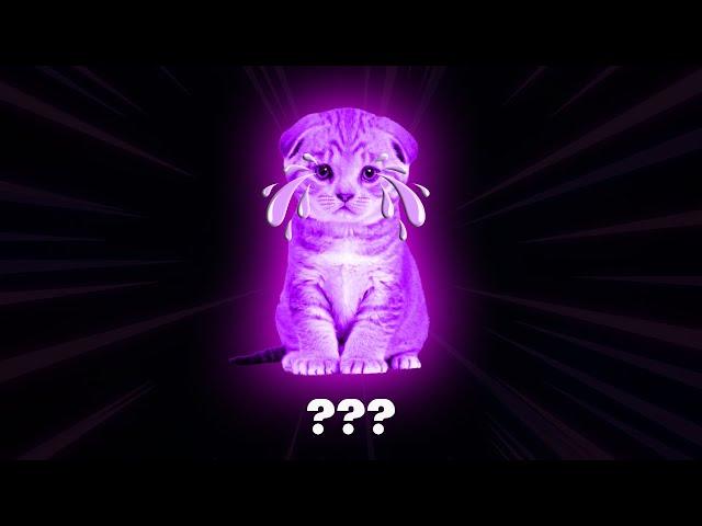 14 Sad Kitten "Meow Miaw Miaw" Sound Variations in 40 Seconds I Ayieeeks Original