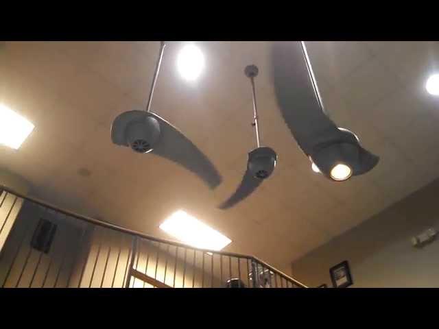 Video Tour of the Fanimation Ceiling Fan Co, Part 1