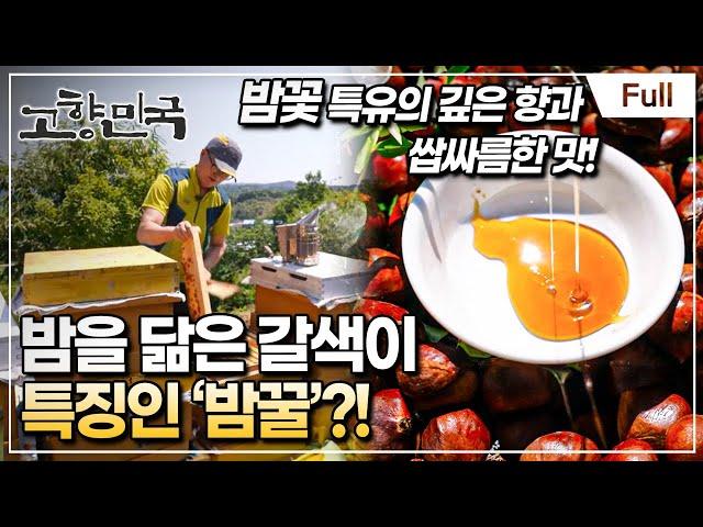 [Full] 고향민국 - 청양, 까치내 마을 사람들