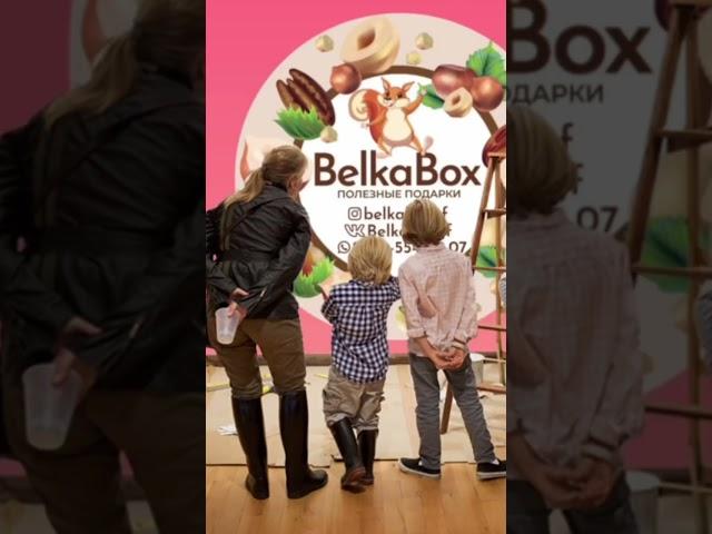 #belkabox #рекомендации