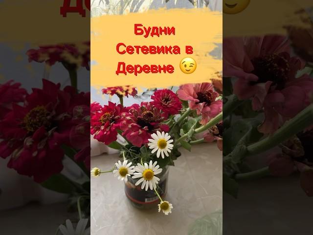 Будни сетевика в Деревне