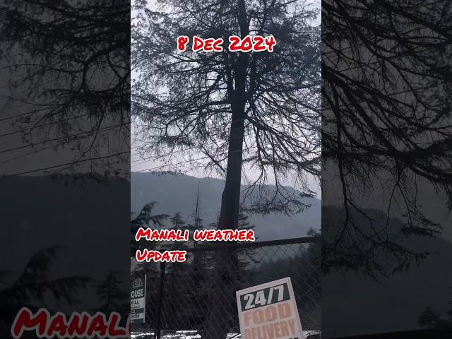 Manali weather update // 08 Dec 2024 // #manali #travel #snow #snowfall #snowupdate #weather #update