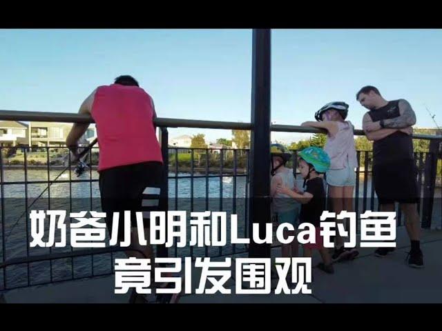 奶爸小明带Luca钓鱼竟引发围观/Ming fishing with Luca