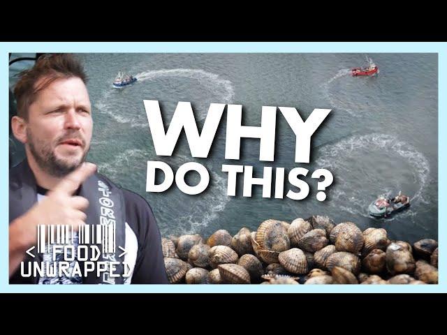 Why Does Catching Cockles Require These Boats to Do Donuts? | Food Unwrapped