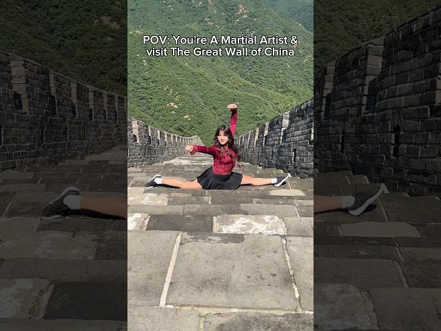 POV: You’re A Martial Artist & Visit The GREAT WALL OF CHINA… It was so HOT #greatwallofchina #wushu