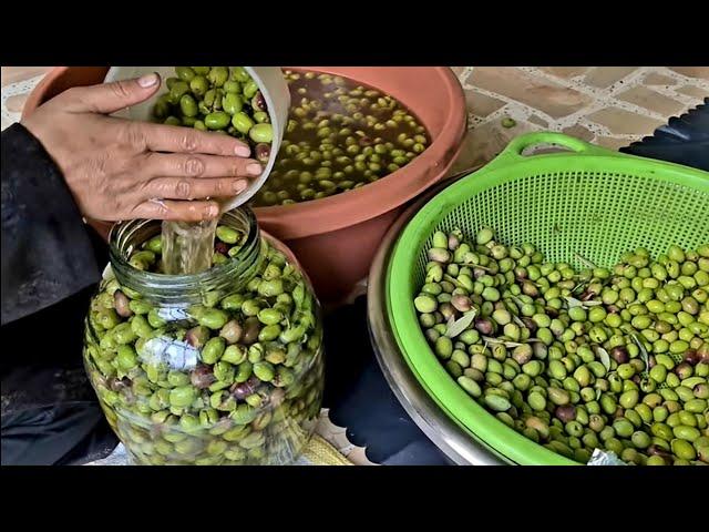 Method for pickling olives  🫒 طريقة تخليل الزيتون