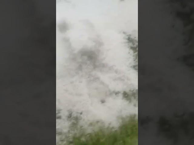 Rain #uzbekistan
