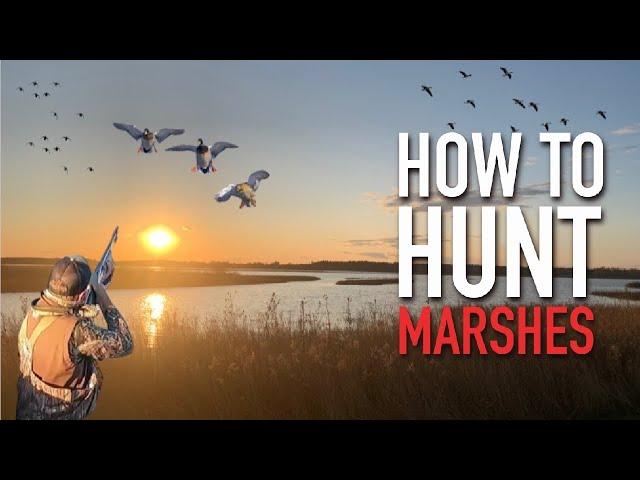 5 Tips for Duck Hunting Shallow Water Marshes (2022 Season)