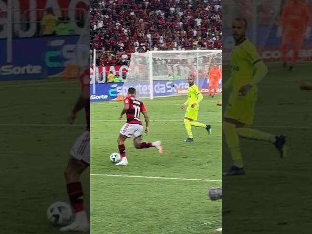 CEBOLINHA COLOCA PALMEIRENSES PARA DANÇAR! MENGÃO 3x0 PEPPAS NO MARACANÃ! #flamengo #futebol