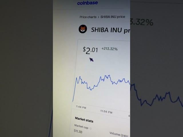 Shiba inu coin is now worth $2