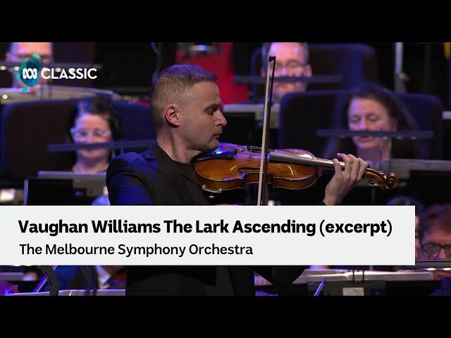 The Lark Ascending (excerpt) performed by the Melbourne Symphony Orchestra