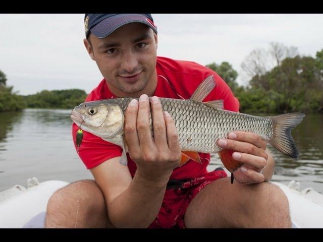 Ловля голавля спиннингом. Chub fishing.