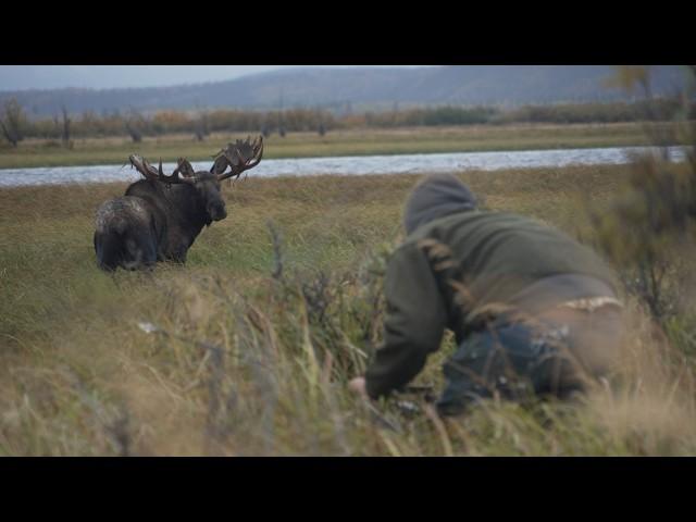 Too CLOSE for Comfort! Recurve Bowhunting Alaskan Moose