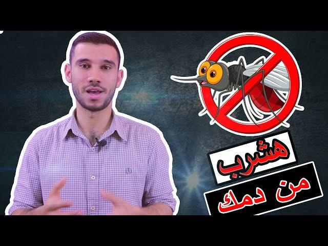 ليه الناموس بيحبك!! | كيف ينجذب البعوض الى ضحيته؟