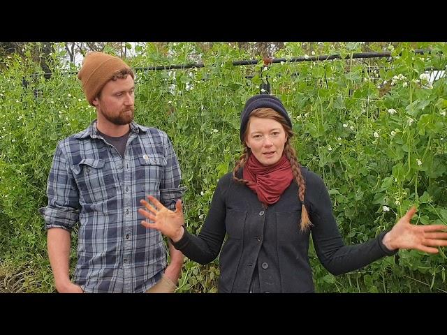 Brendan Sinclair and Liesel McCleary, resident farmers at The Farm at Finley Farms