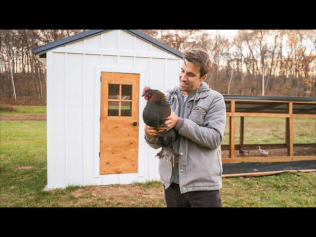 Building the Ultimate Chicken Coop: A Step-by-Step Guide