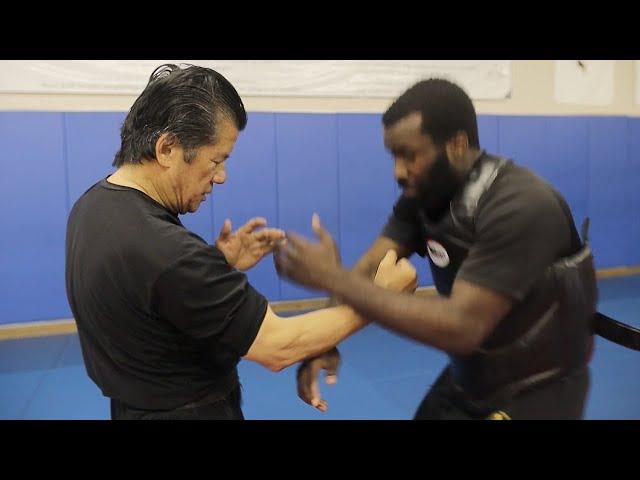 This Wing Chun Master Has CRAZY Power | Sifu Francis Fong