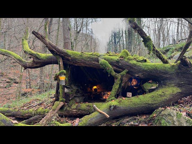 Bushcraft SURVIVAL Shelter; Building a Natural Dugout inside Big Tree. Winter Camping