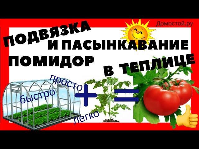 СУПЕР БЫСТРАЯ ПОДВЯЗКА ПОМИДОР В ТЕПЛИЦЕ  #Теплицапомидор   Канал "Домострой.ру".