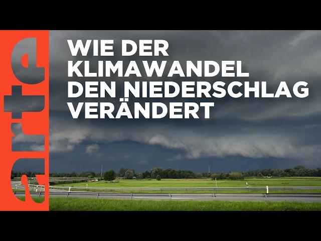 Risiko Extremwetter - Gewitter, Hagel und Starkregen | Doku HD |  ARTE