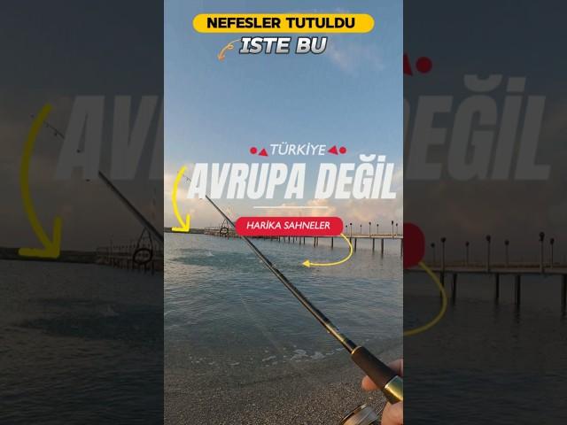 #fish #fishing #lrf #seabass #levrek #spin #lure #gopro #deniz #balık Reklam#fishinglife #beach #aşk