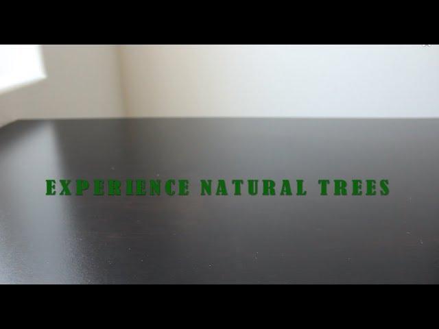 Experience Natural Trees Channel Intro