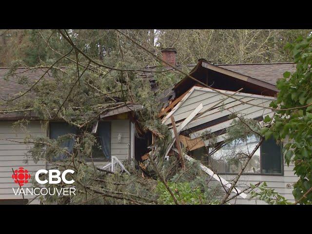 Vancouver Island hit with power outages