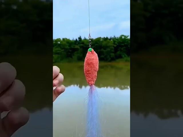 Unbelievable Eel Fishing High Tech Techniques for Mind Blowing Catches! #FishingGoals