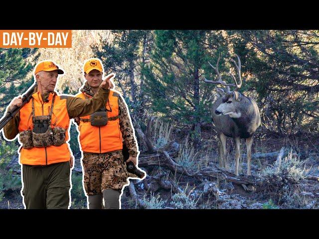 Looking For The BIG ONE! | Colorado Deer with Matthew and Randy Newberg (ep.1)