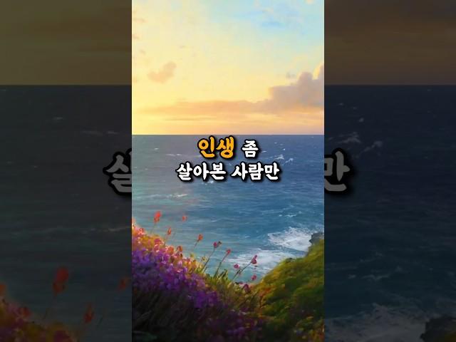 나이 들어 사서 고생하는 사람들 #인생조언 #동기부여 #인생명언