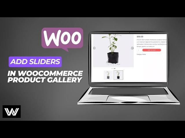WooCommerce Product Image Slider | Add sliders in product images