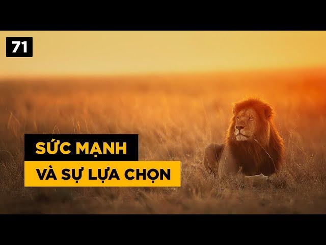 Sức mạnh và sự lựa chọn