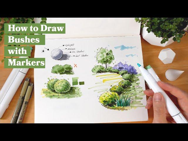 How to Draw a Bush/Shrub Using Pen and Marker