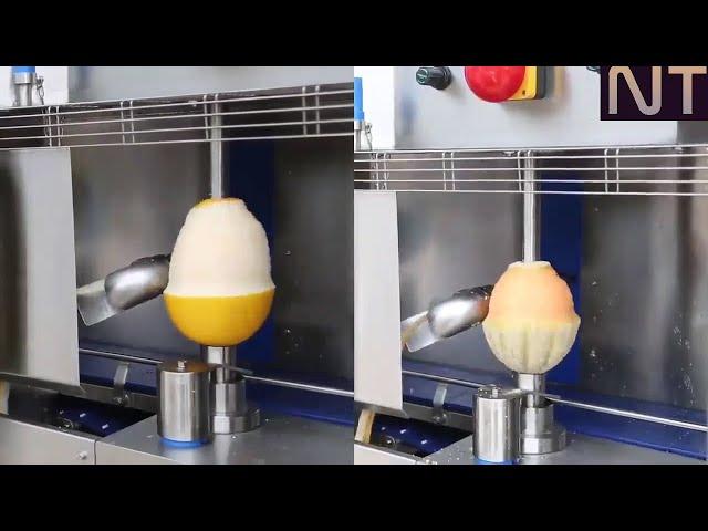 Food Industry Machines that are at another Level | Chocolate Making | N Technology