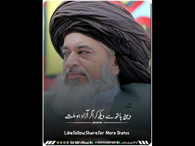 Beautiful Speech | Allama Khadim Hussain Rizvi | Shorts Status | #tlpbspofficial