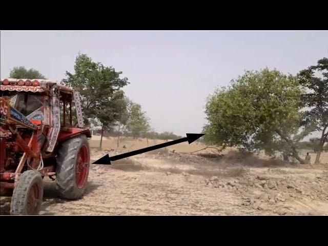 How to knock down a tree with a tractor | Arain Tractor