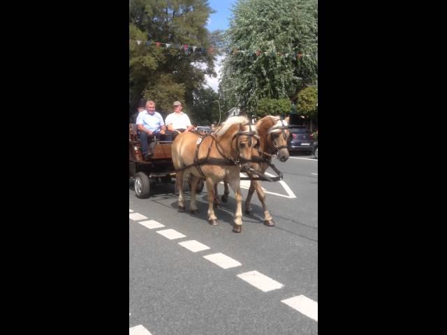 Pferdeprozession warendorf - mariä Himmelfahrt 2014