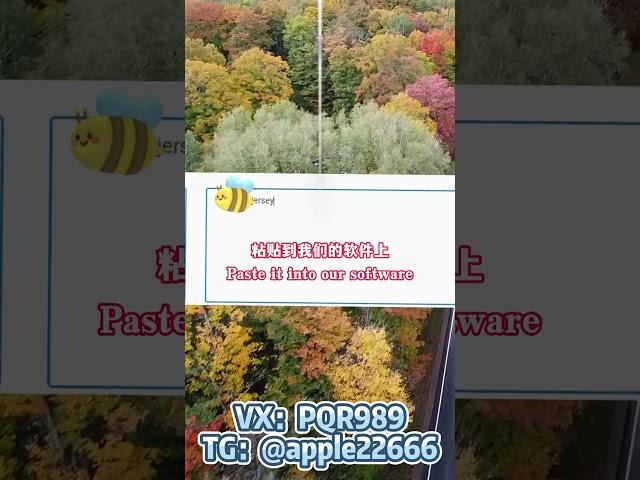 twitter群发软件：名片跳转引流嘎嘎有效。#twitter群发 #twitter群发系统 #twitter营销系统