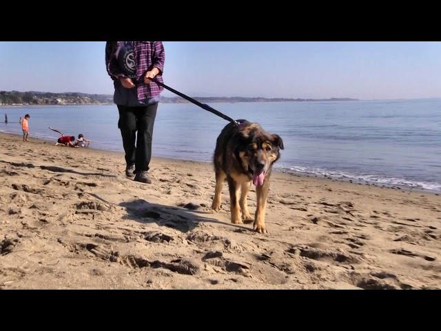 Cletus goes to the beach