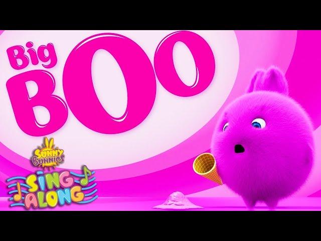 SUNNY BUNNIES - Big Boo Music Video | WildBrain Music For Kids