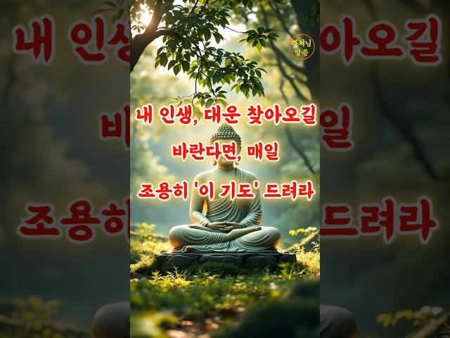 대운 맞은 사람은 매일 '이 기도' 드렸습니다 | 부처님 말씀 | 부처님 지혜 | 석가모니 말씀