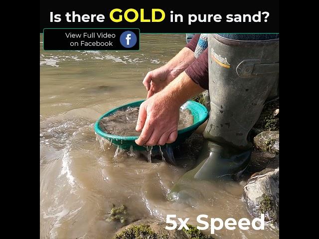 Can I find GOLD in PURE SAND?