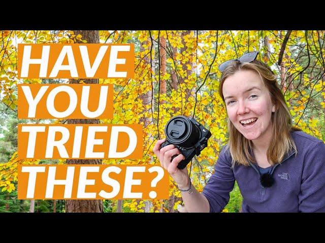 10 Autumn Photography Tips You Must Try This Season 